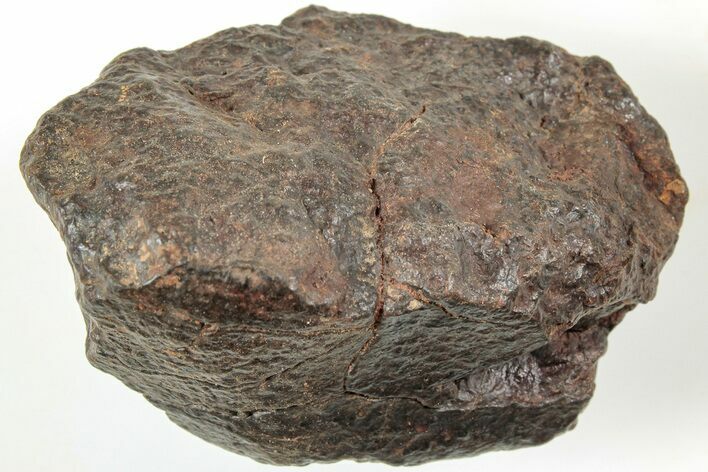 Chondrite Meteorite ( g) - Western Sahara Desert #233213